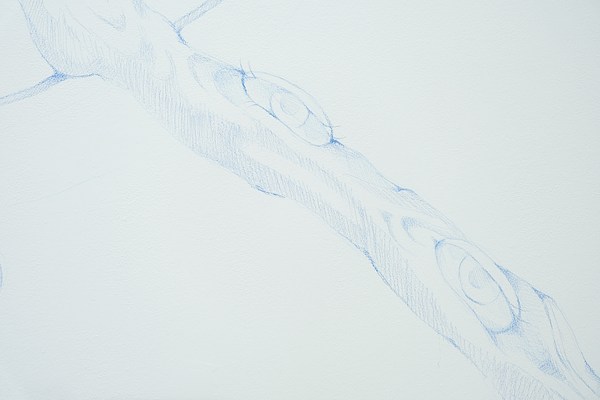 Image 27 of 44