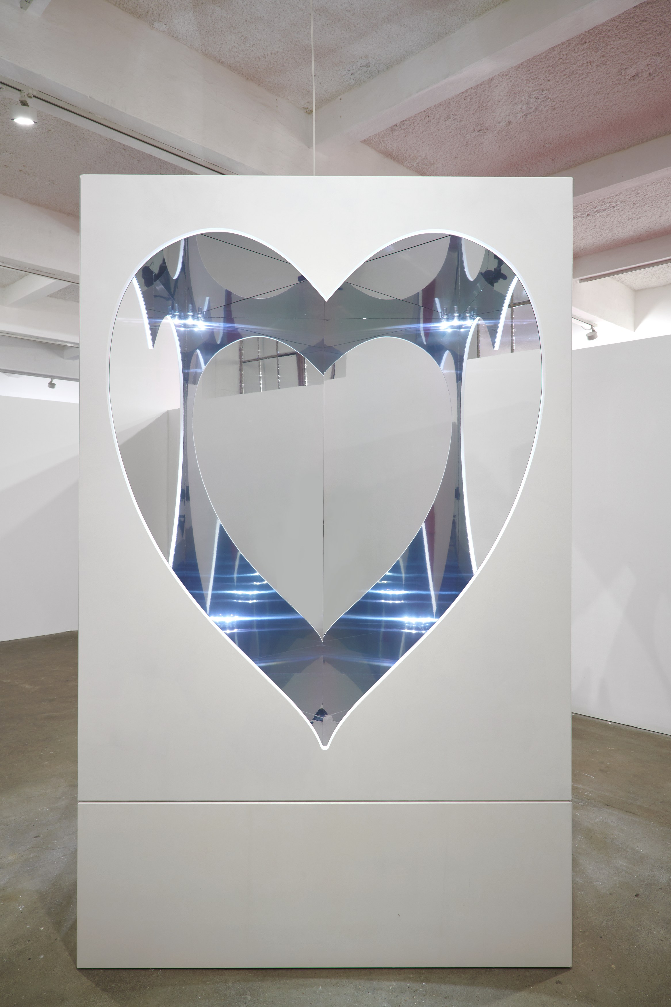 Bruno Zhu, License to Live at Chisenhale Gallery, photo 5