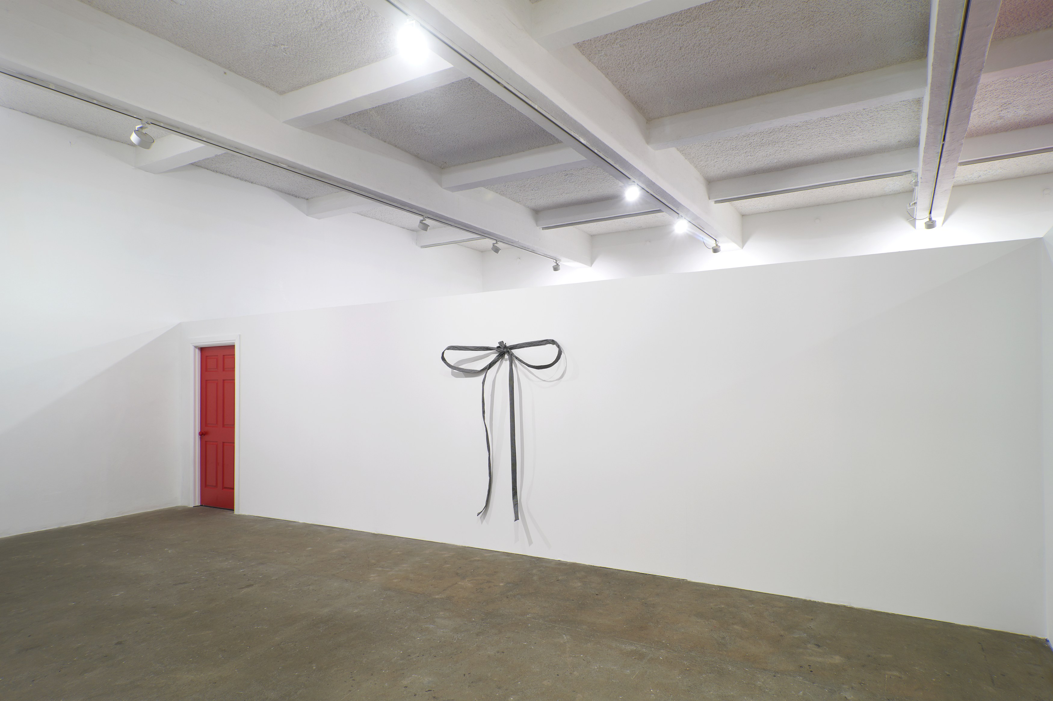 Bruno Zhu, License to Live at Chisenhale Gallery, photo 8