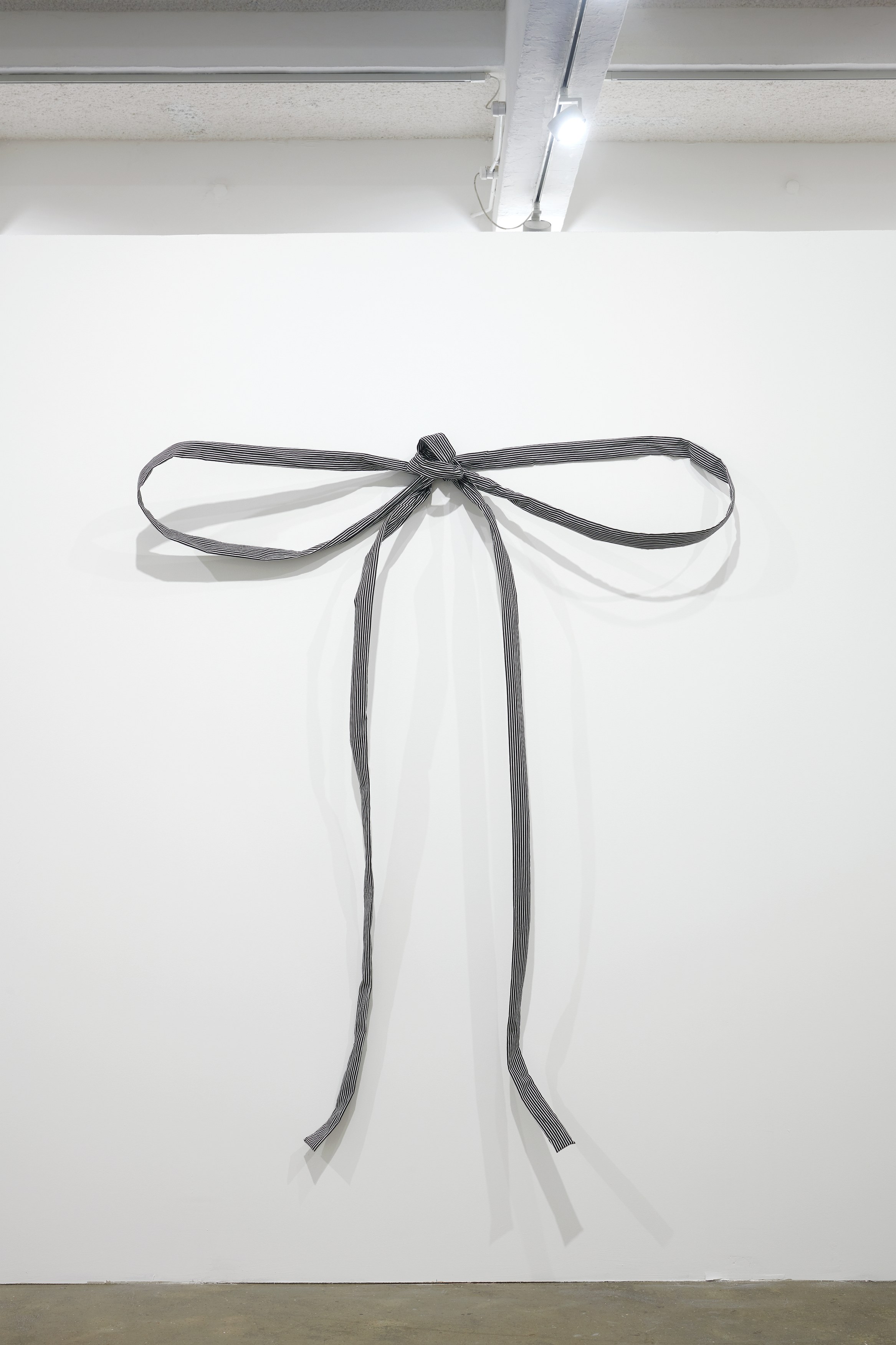 Bruno Zhu, License to Live at Chisenhale Gallery, photo 7