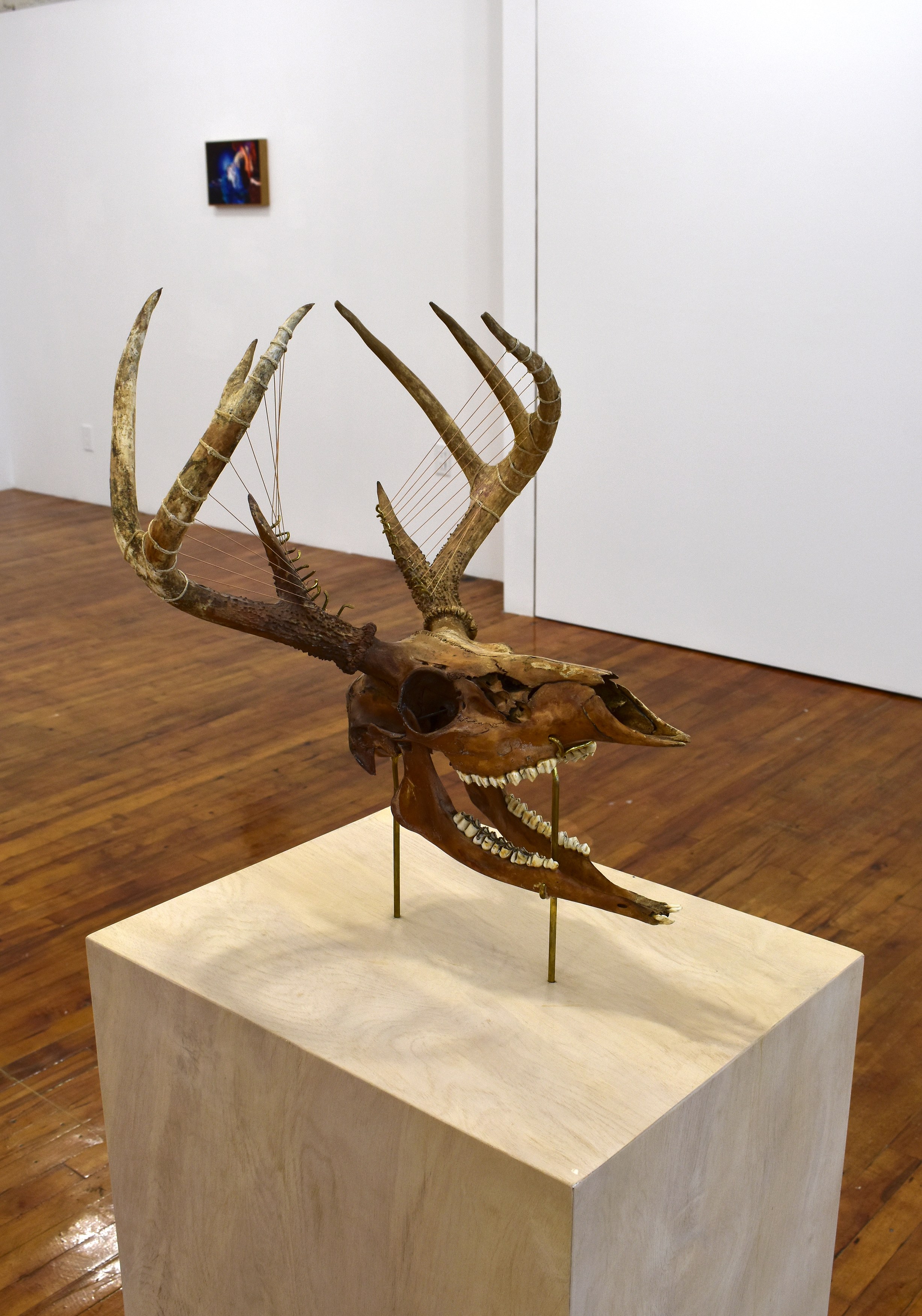E'wao Kagoshima, Mamie Tinkler, Voyage at Ulterior Gallery, photo 7