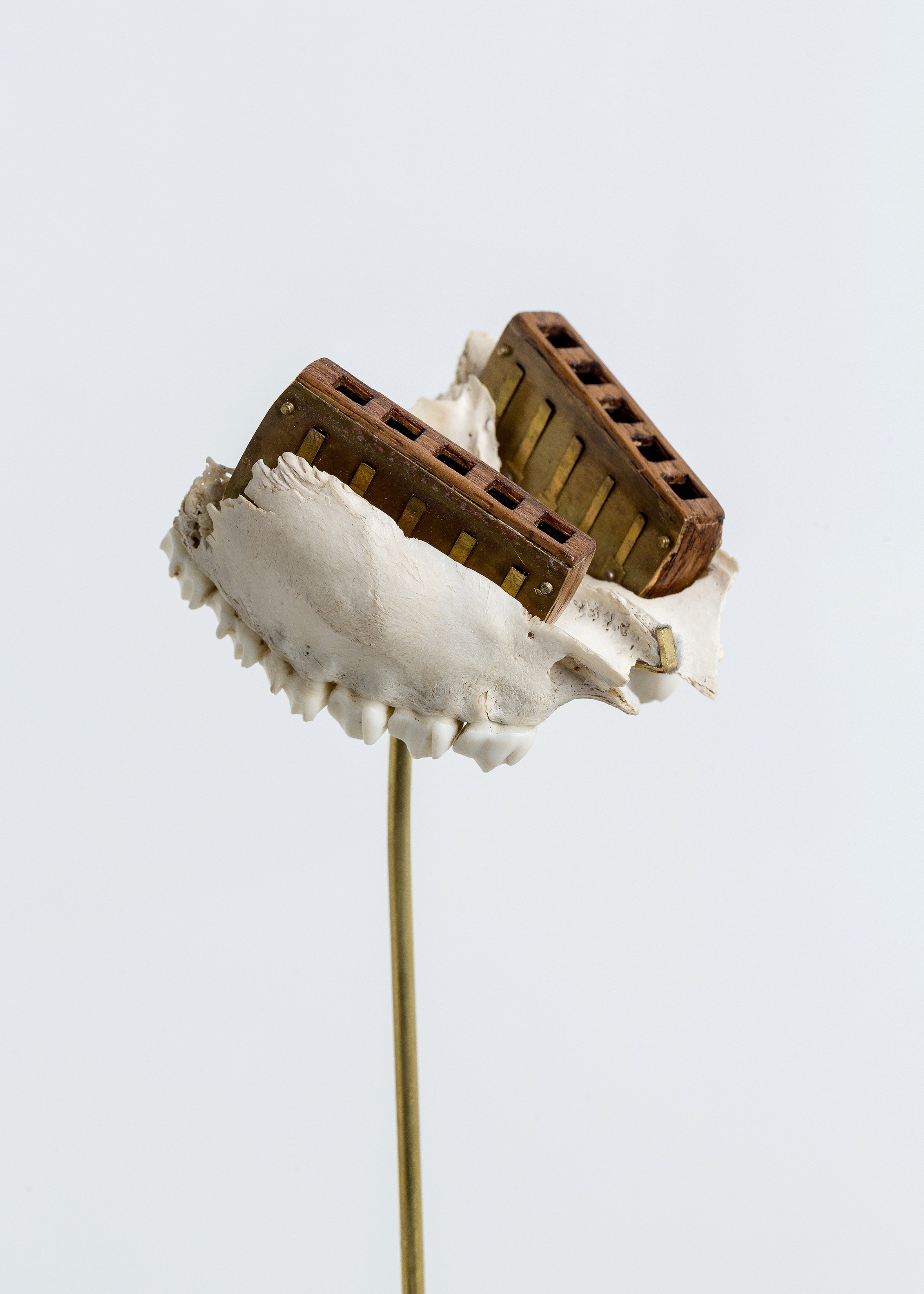 E'wao Kagoshima, Mamie Tinkler, Voyage at Ulterior Gallery, photo 15