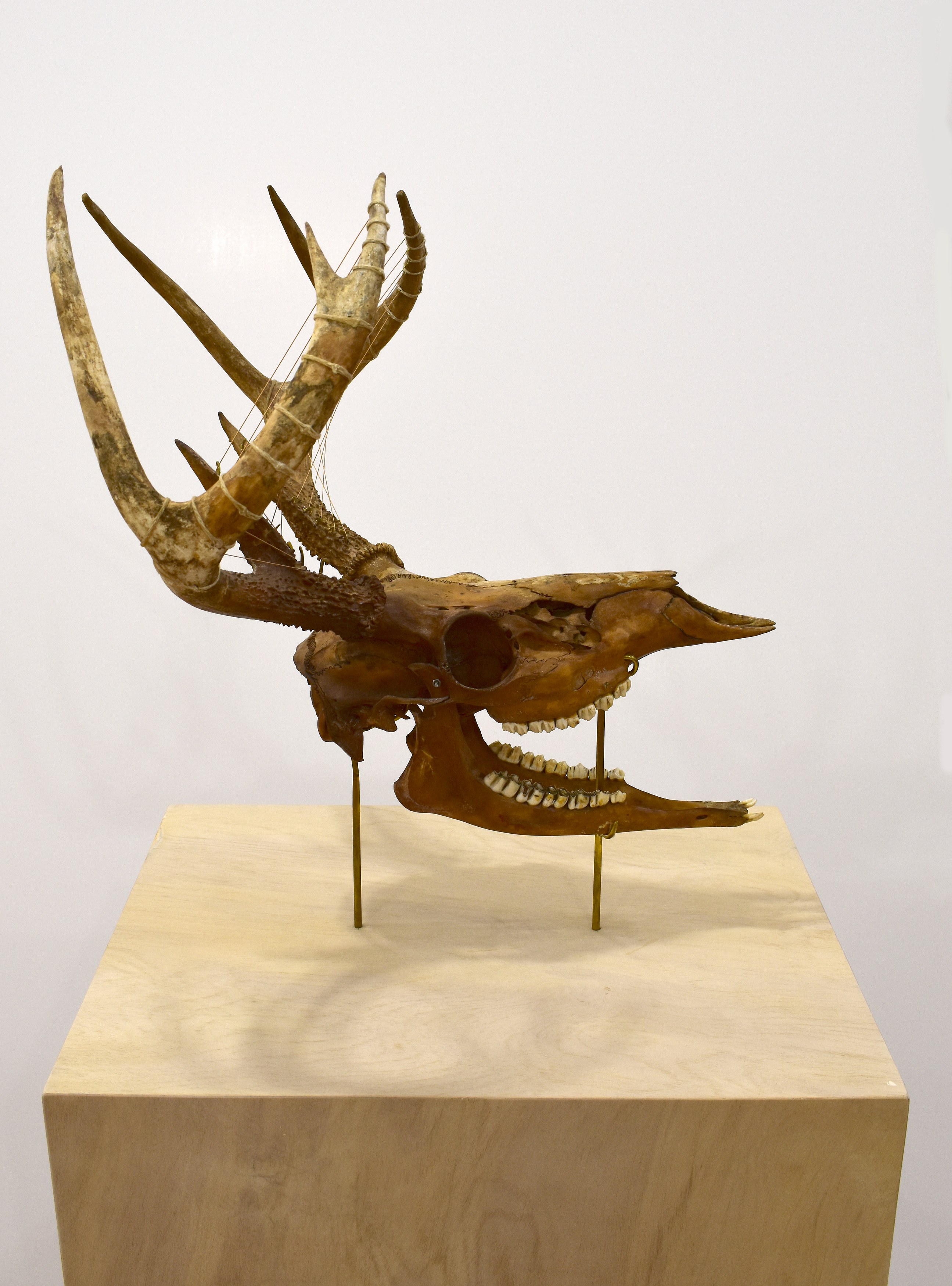 E'wao Kagoshima, Mamie Tinkler, Voyage at Ulterior Gallery, photo 17