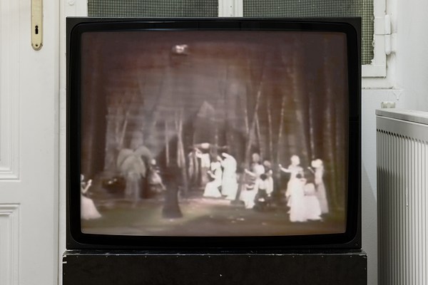 Image 3 of 17