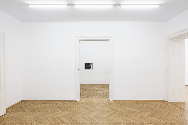 Image 4 of 17