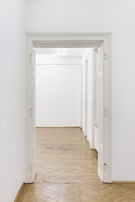 Image 8 of 17