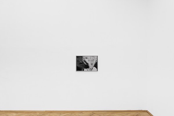 Image 10 of 17