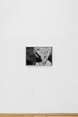 Image 11 of 17