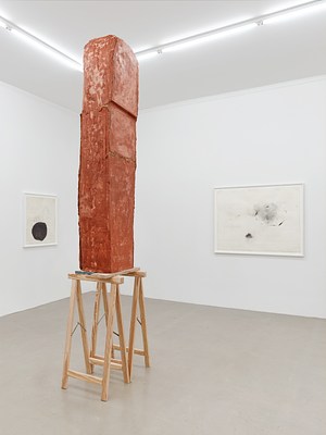 Image 8 of 14