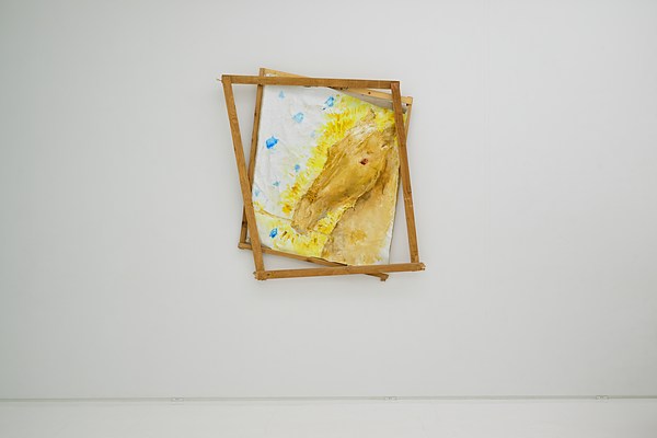 Image 4 of 12