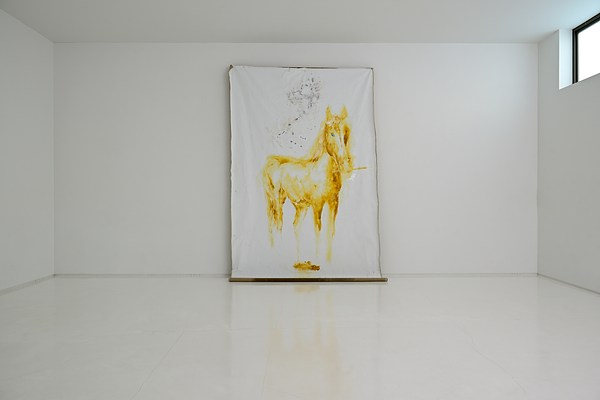 Image 6 of 12