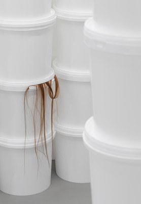 Image 12 of 17