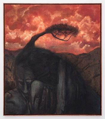 Image 12 of 19
