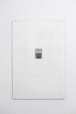Image 14 of 31
