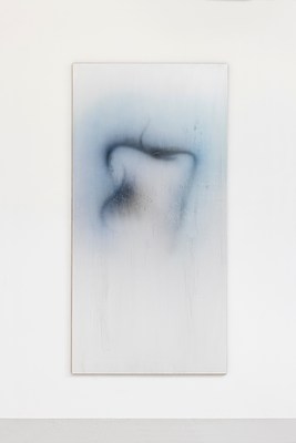 Image 13 of 29