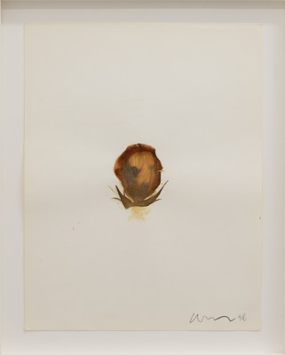 Image 31 of 59
