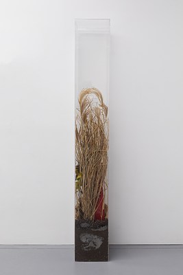 Image 17 of 93