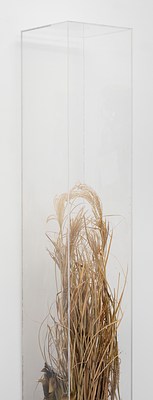 Image 19 of 93