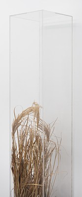 Image 18 of 93