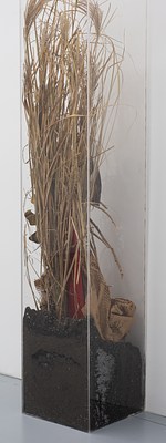 Image 20 of 93