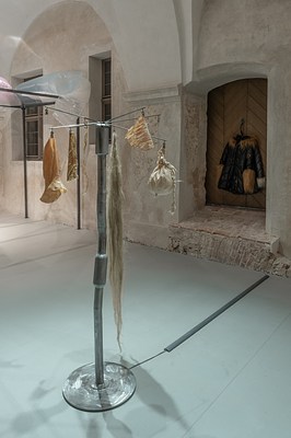 Image 11 of 23