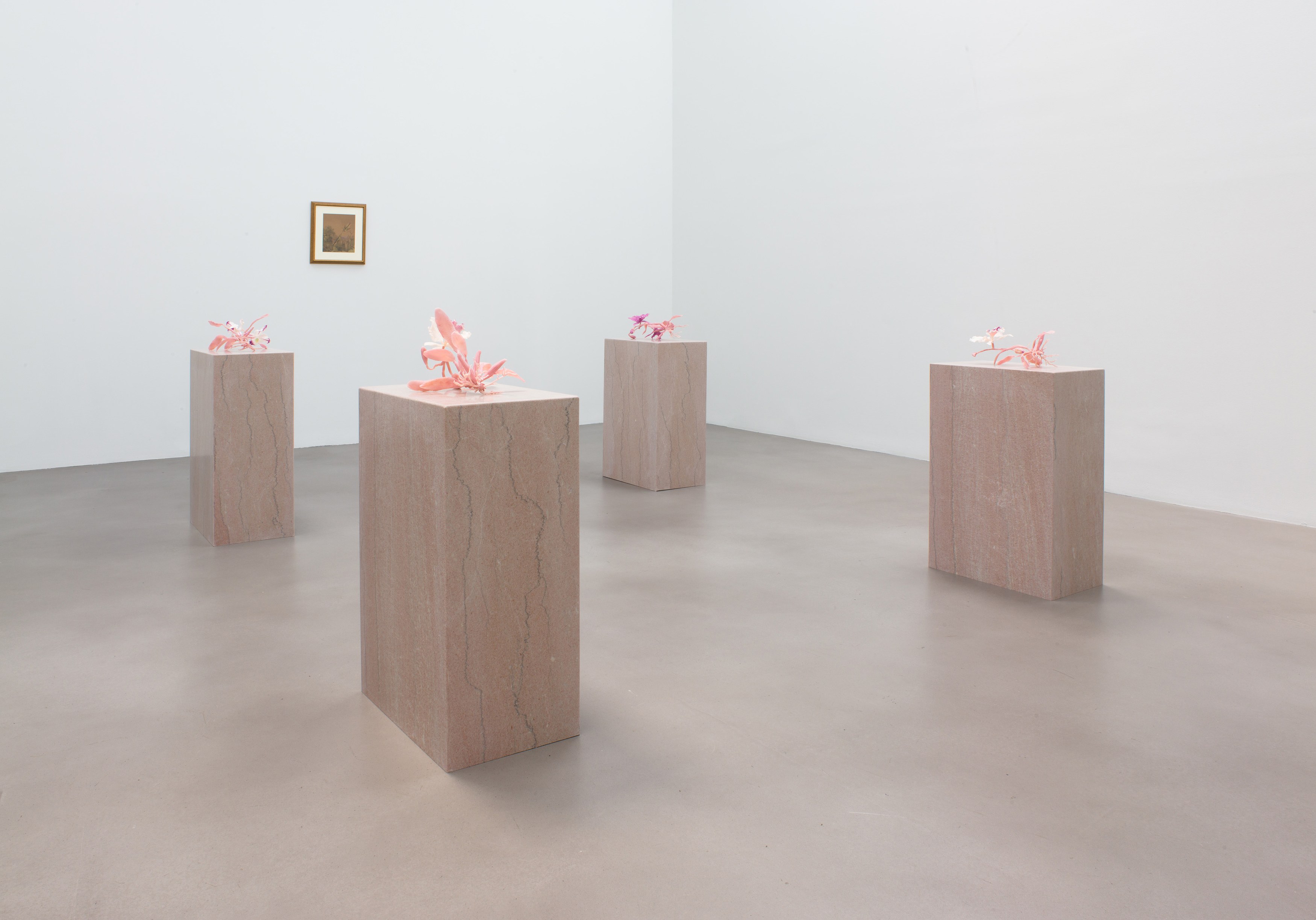 Keith Edmier, Regeneratrix at Petzel, photo 18