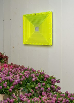 Image 4 of 28