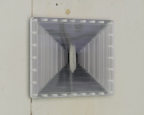 Image 11 of 28