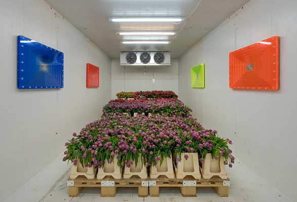 Image 3 of 28