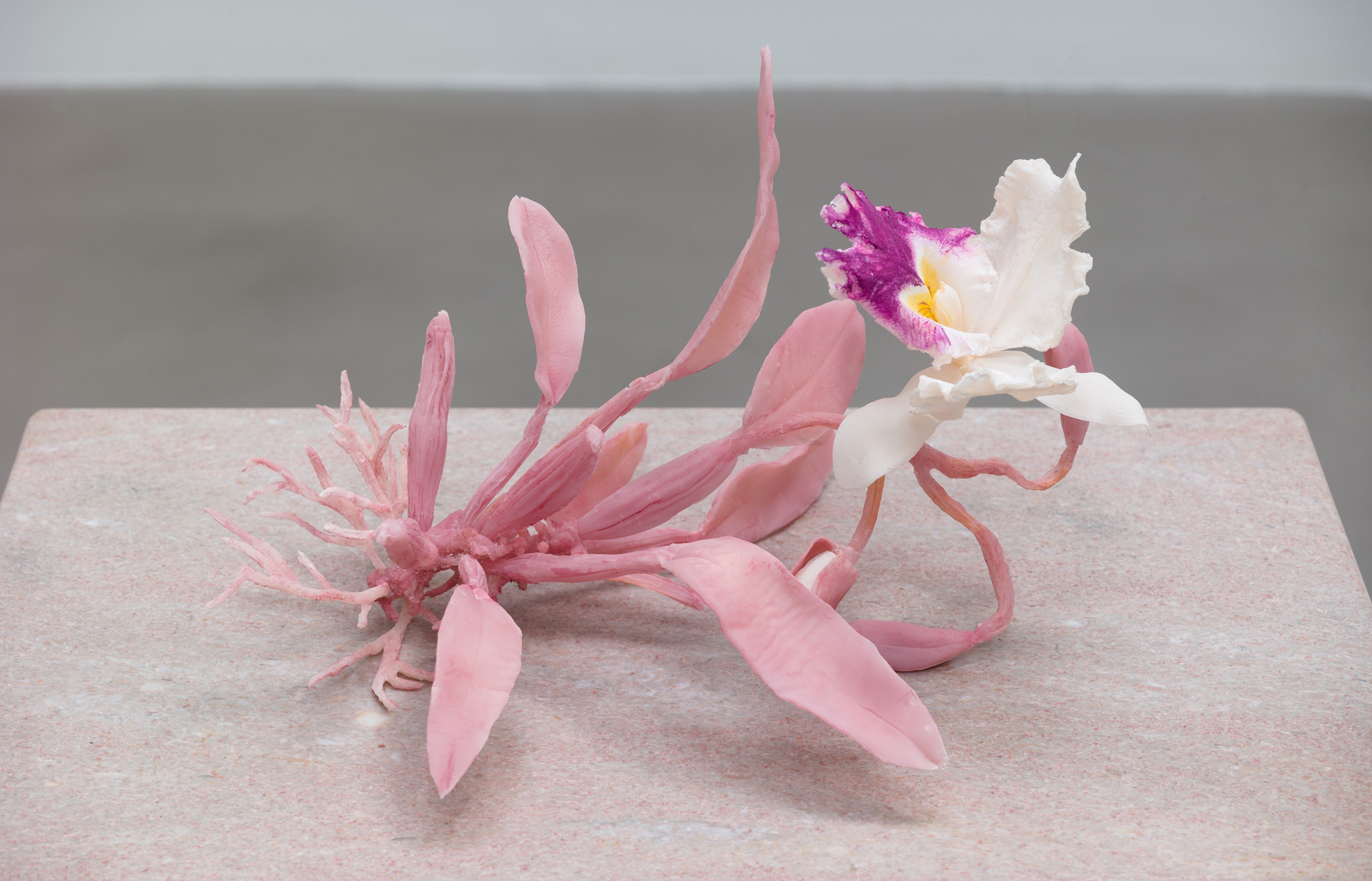Keith Edmier, Regeneratrix at Petzel, photo 19