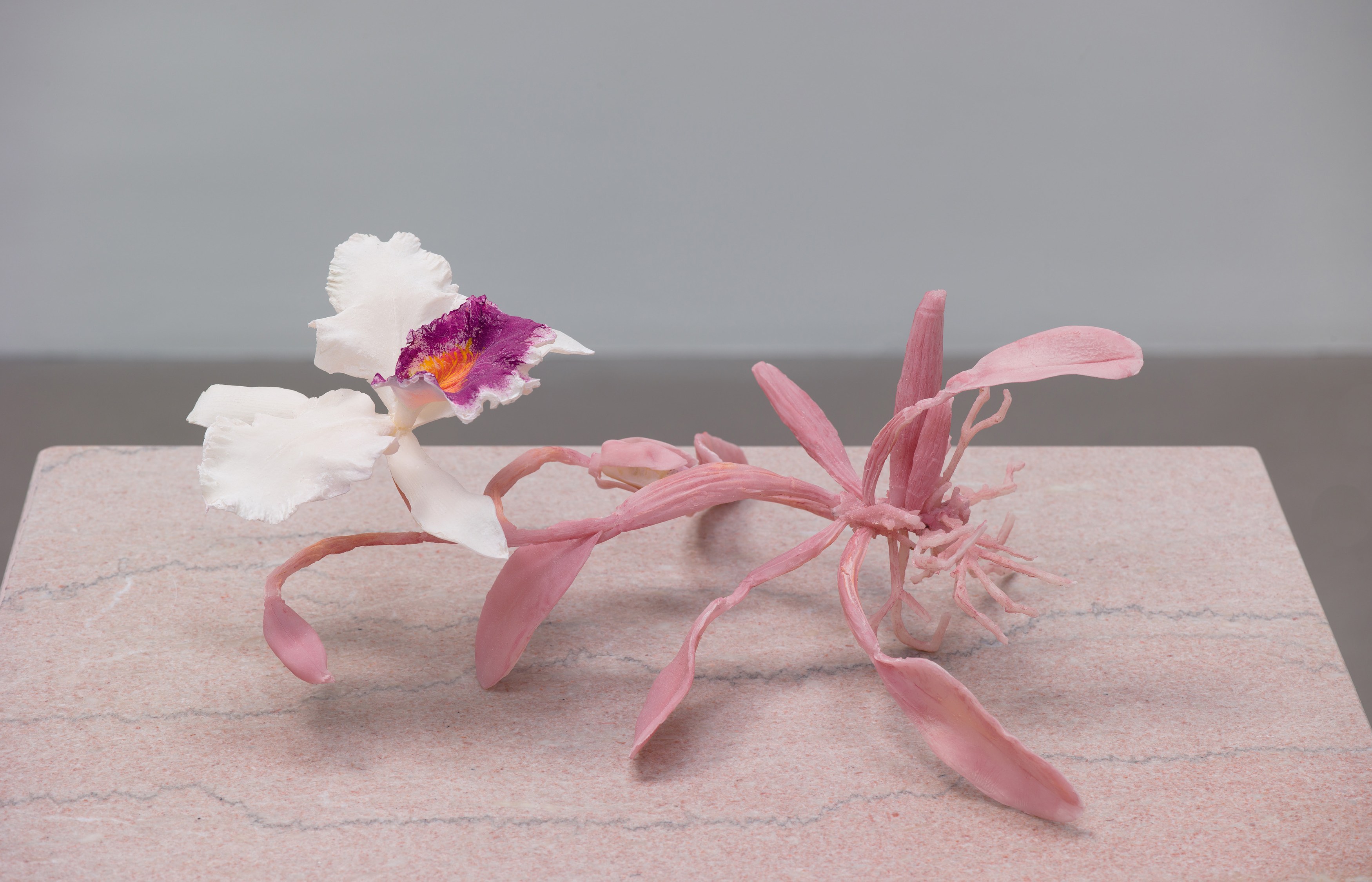 Keith Edmier, Regeneratrix at Petzel, photo 20