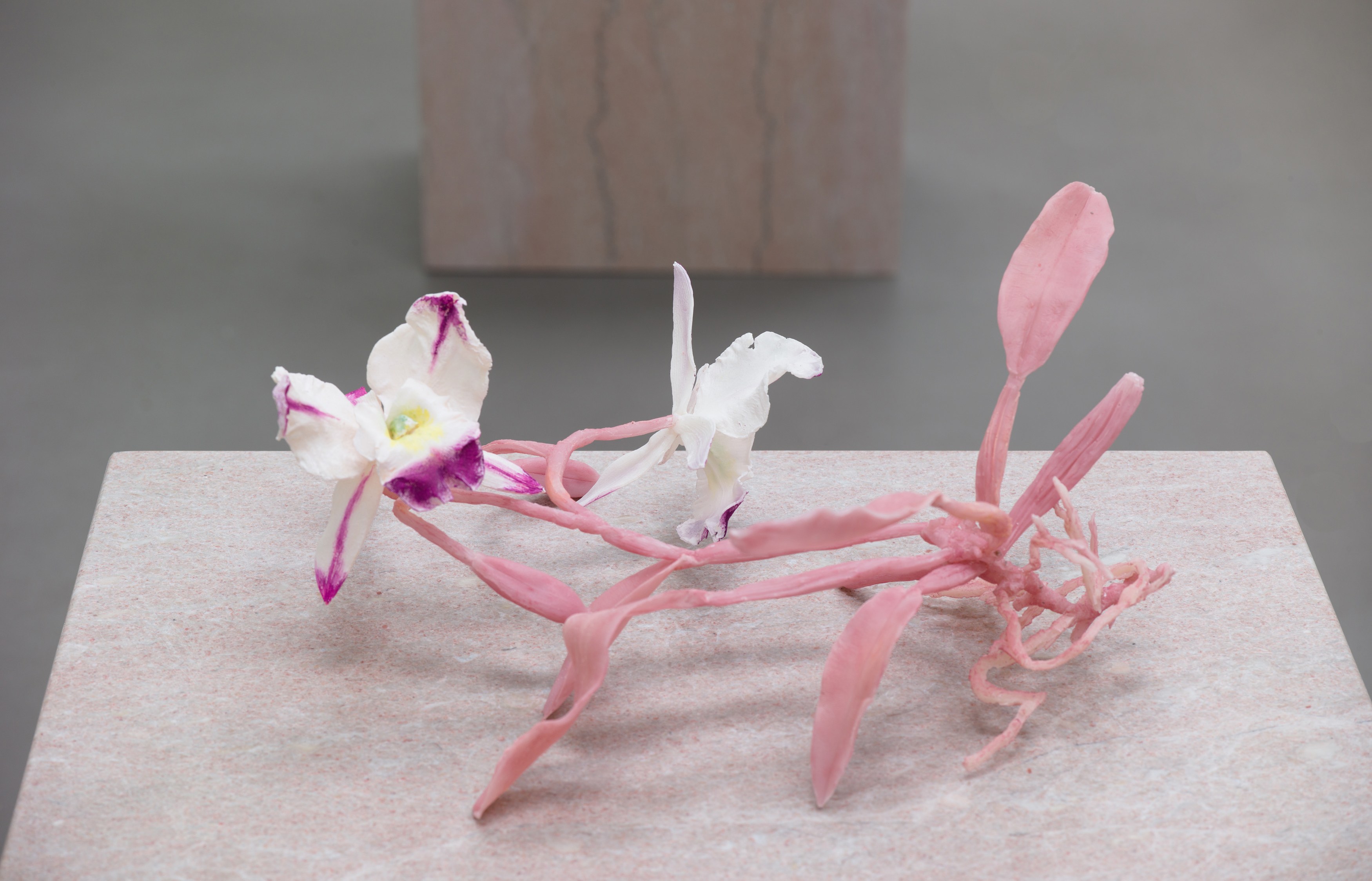 Keith Edmier, Regeneratrix at Petzel, photo 21