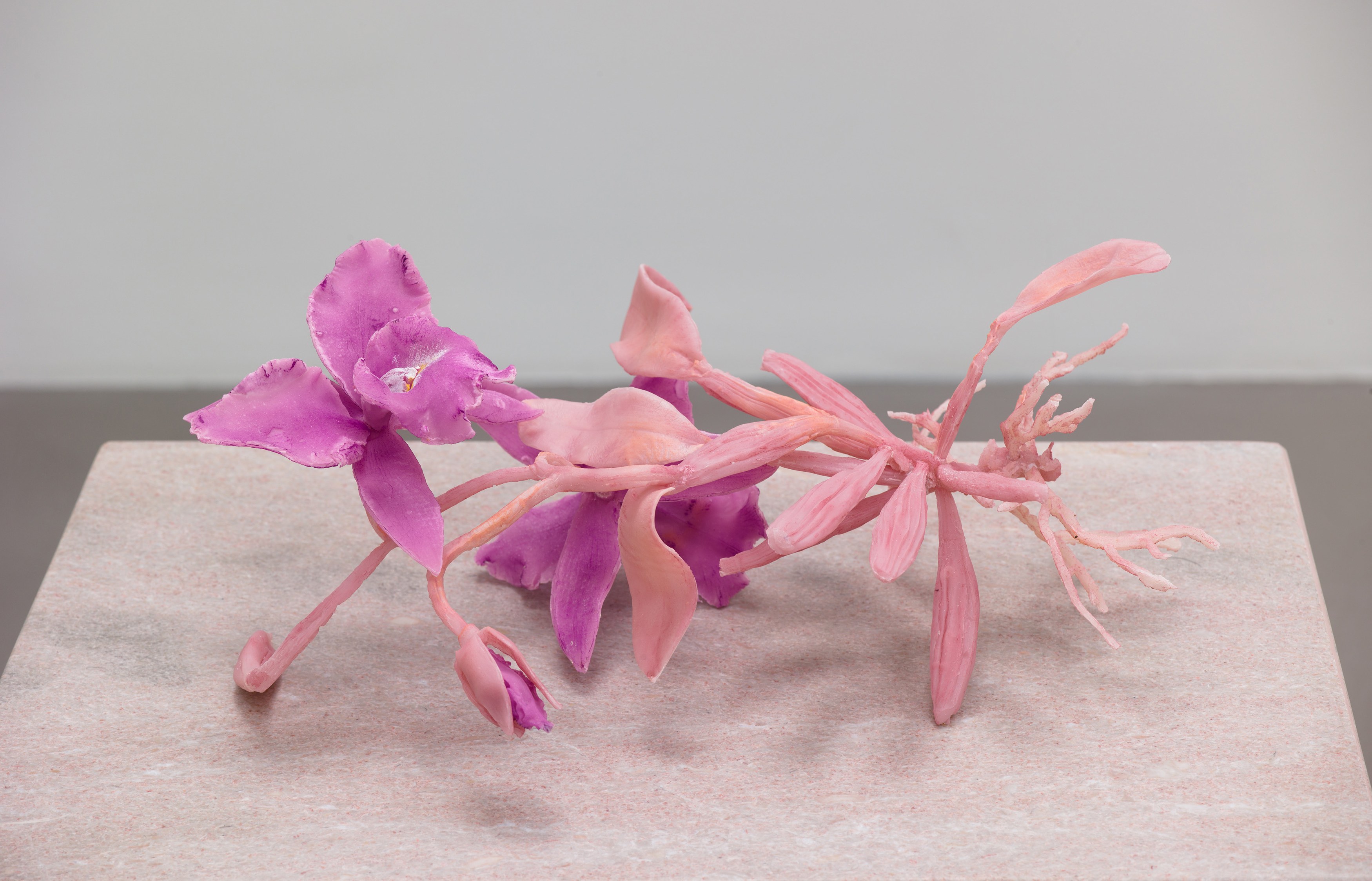 Keith Edmier, Regeneratrix at Petzel, photo 22