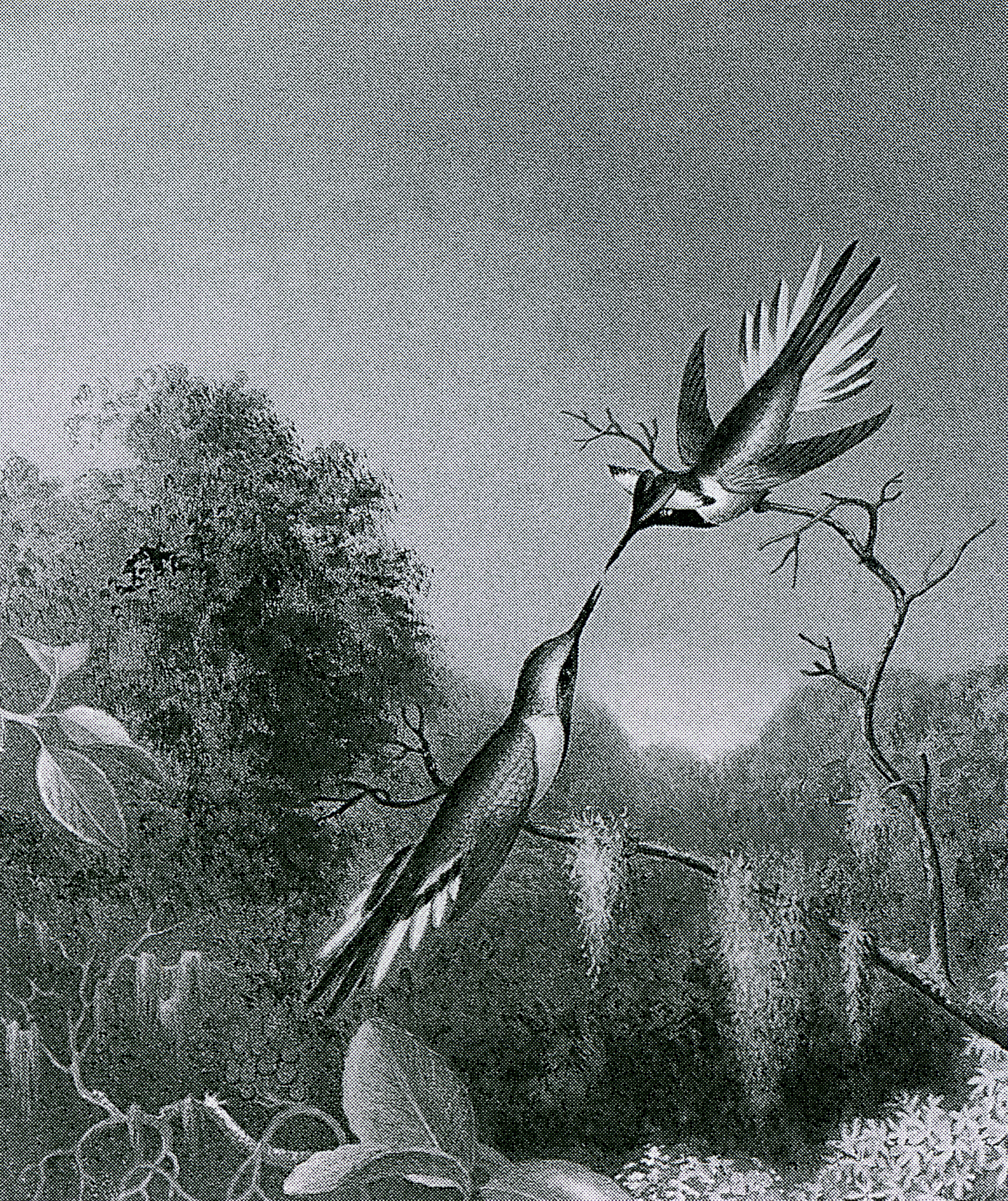 Keith Edmier, Regeneratrix at Petzel, photo 33