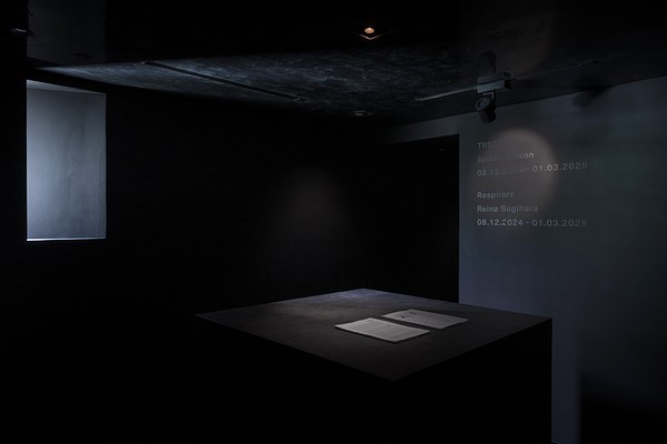 Image 1 of 9