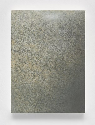 Image 11 of 12