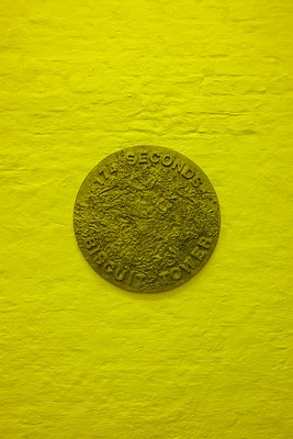 Image 5 of 16