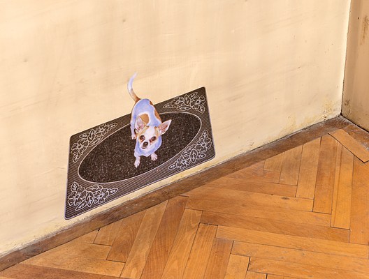 Image 15 of 47