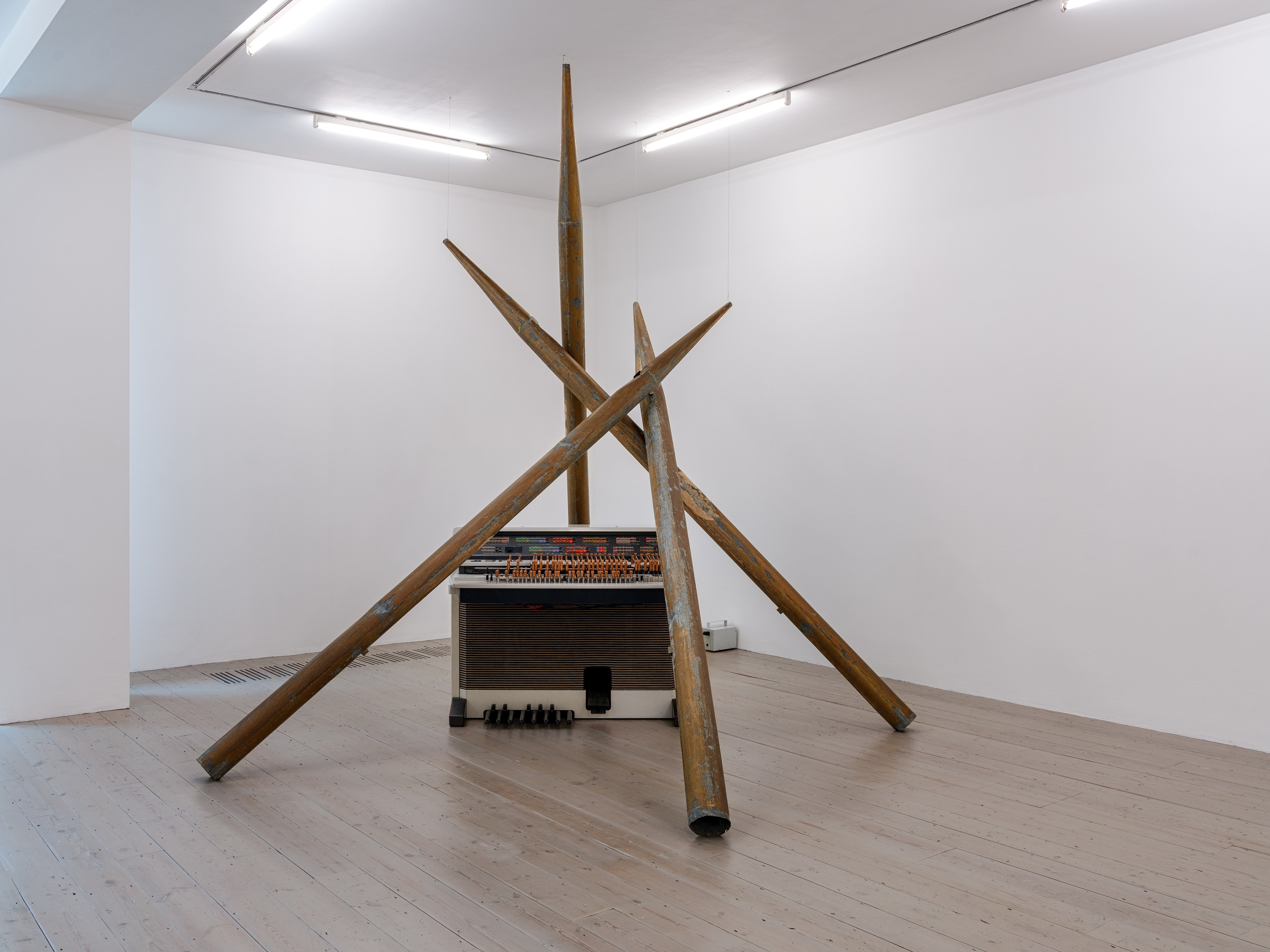 Lutz Bacher, Aye! at Raven Row, photo 4
