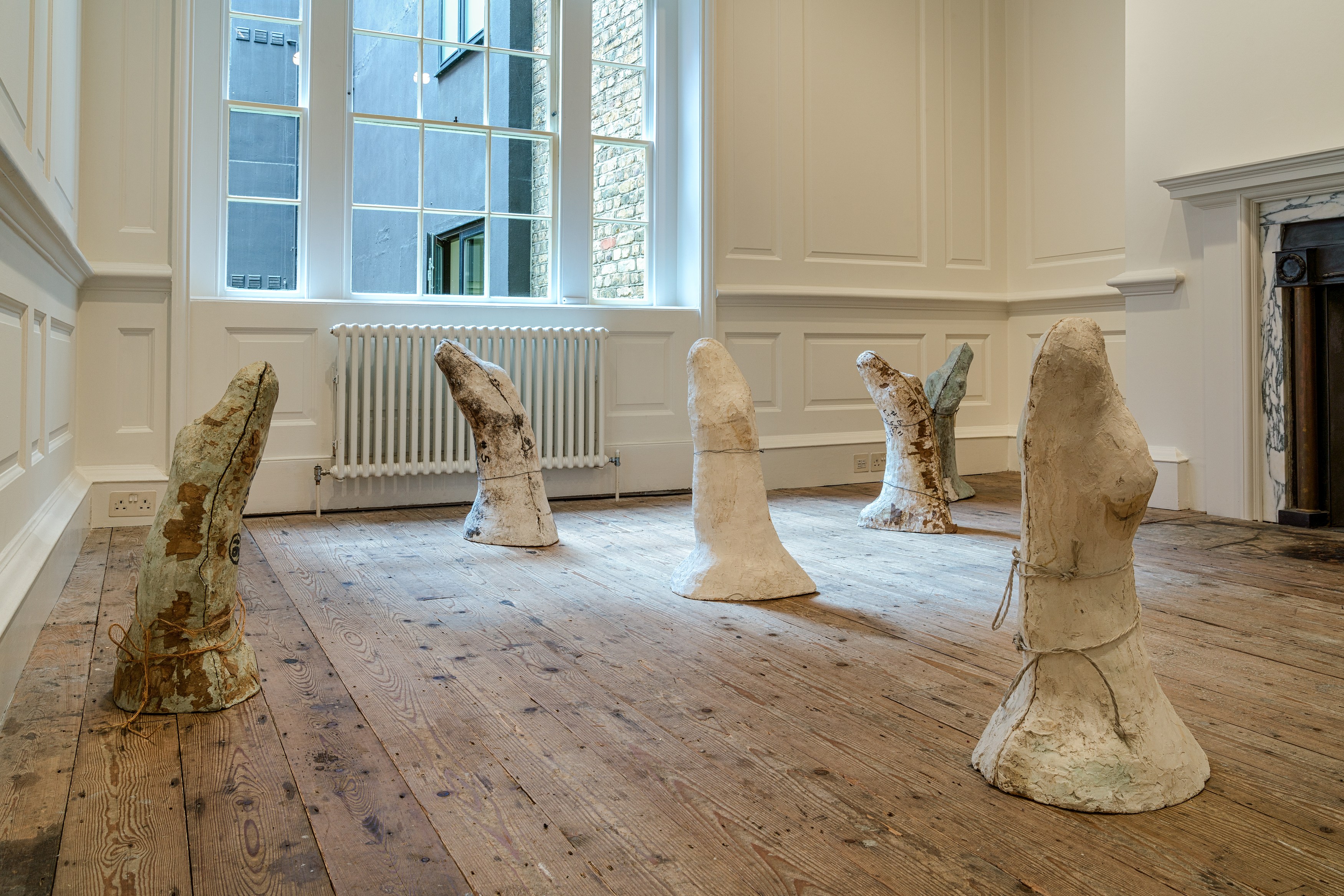 Lutz Bacher, Aye! at Raven Row, photo 6