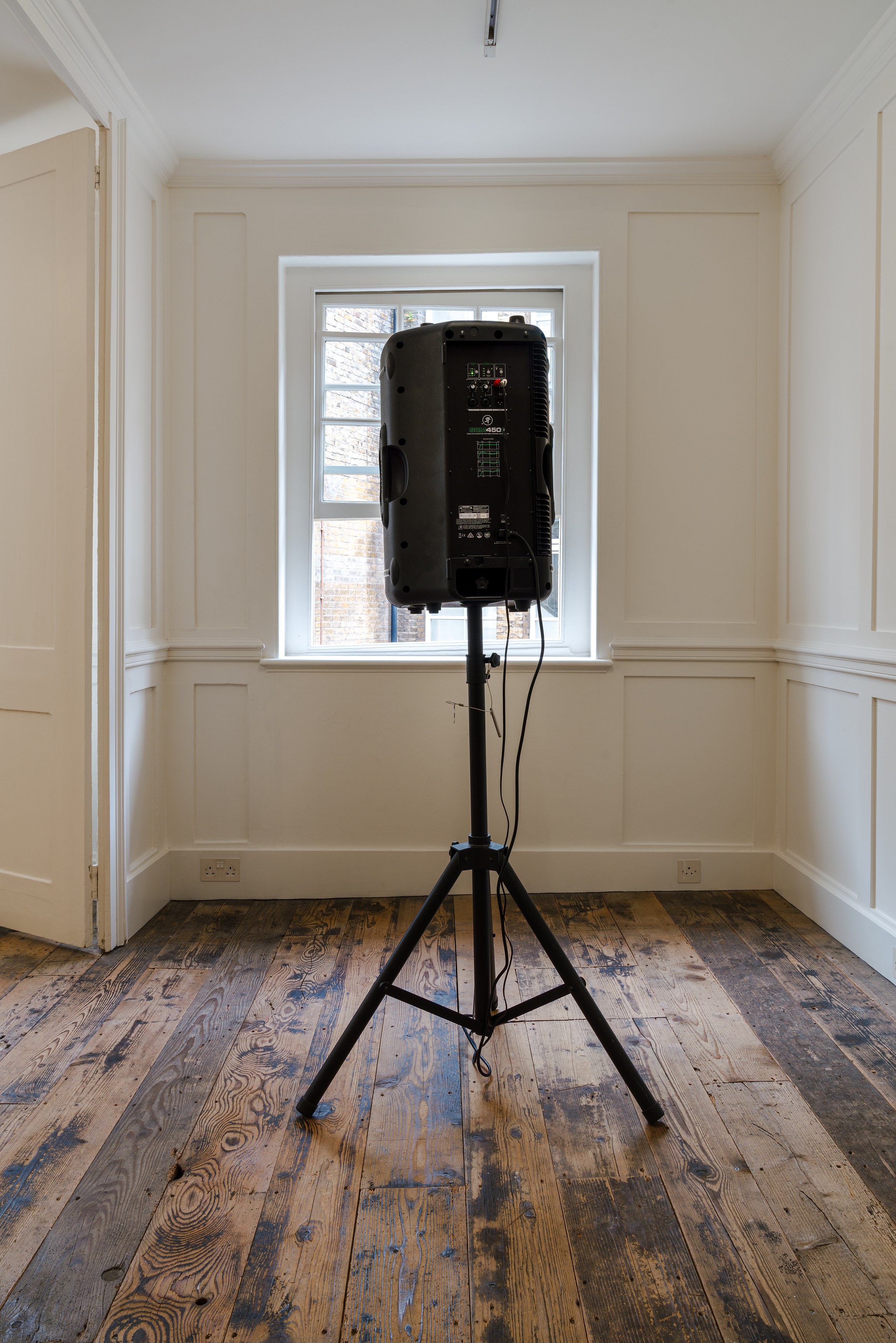 Lutz Bacher, Aye! at Raven Row, photo 8