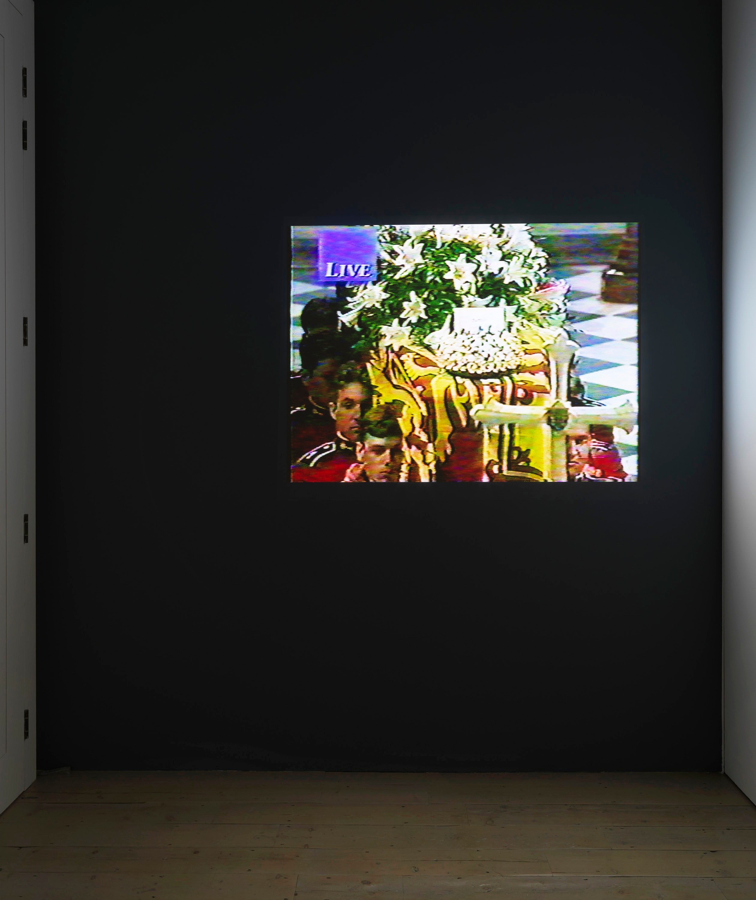 Lutz Bacher, Aye! at Raven Row, photo 21