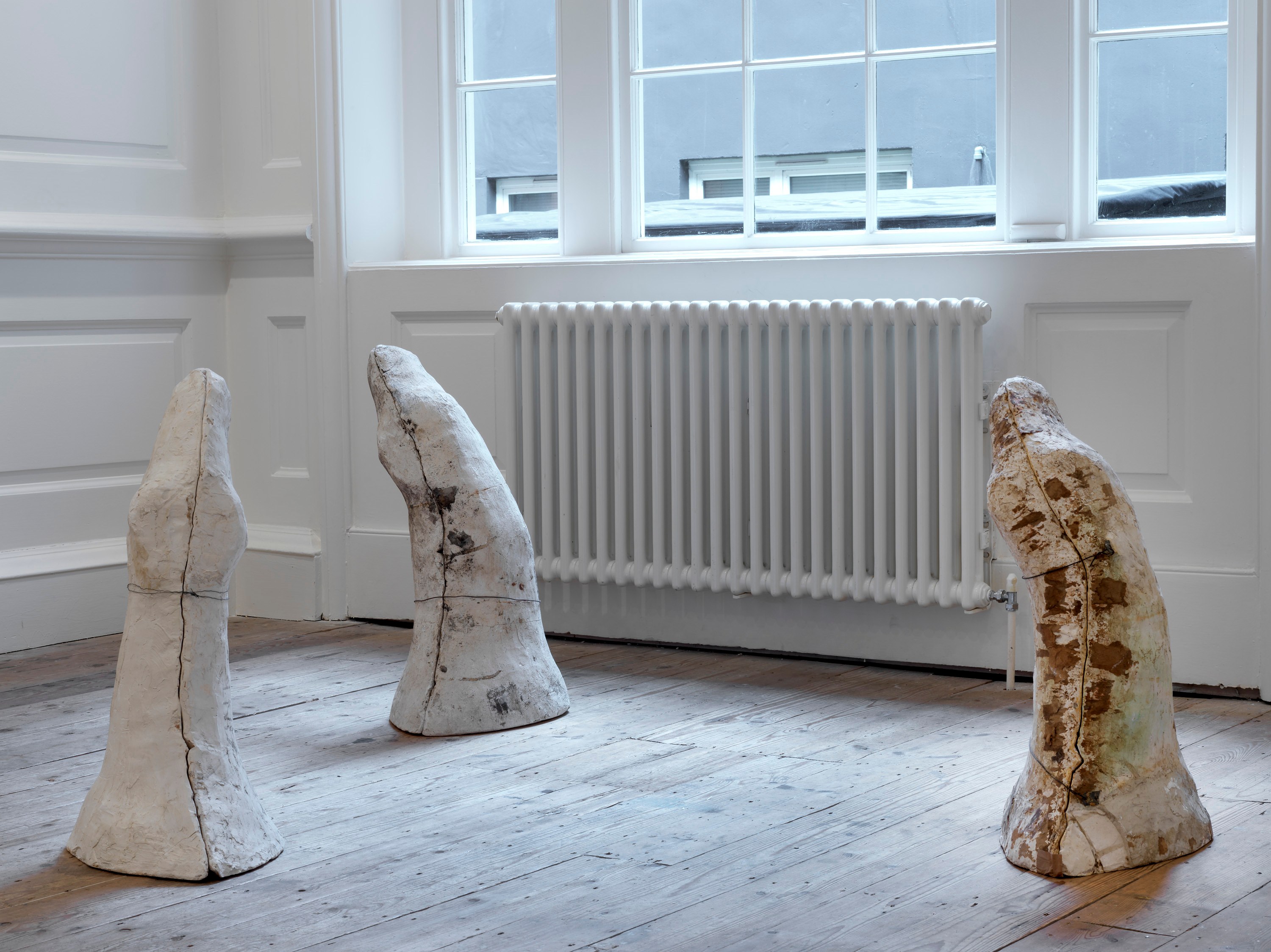 Lutz Bacher, Aye! at Raven Row, photo 27