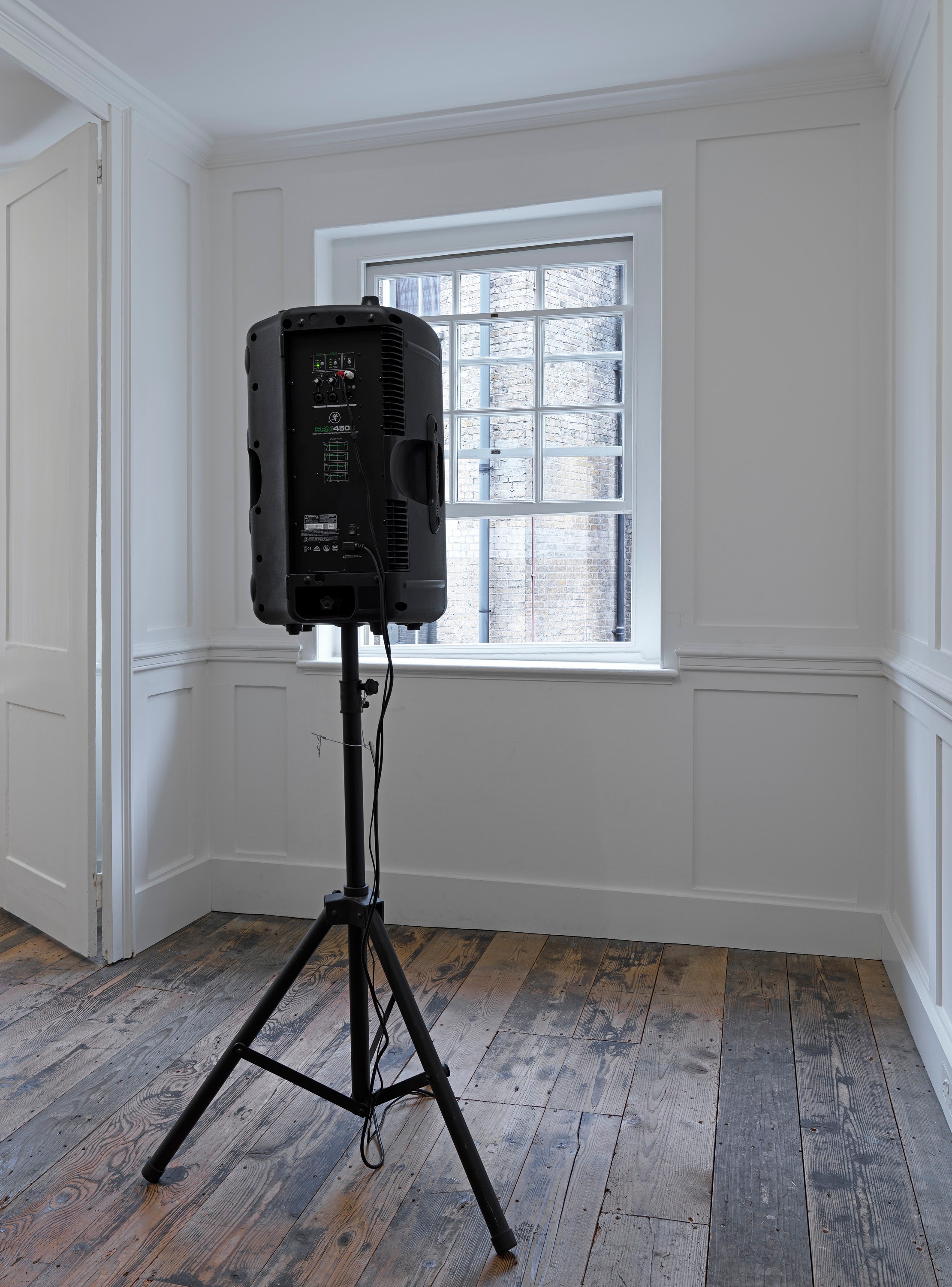 Lutz Bacher, Aye! at Raven Row, photo 31