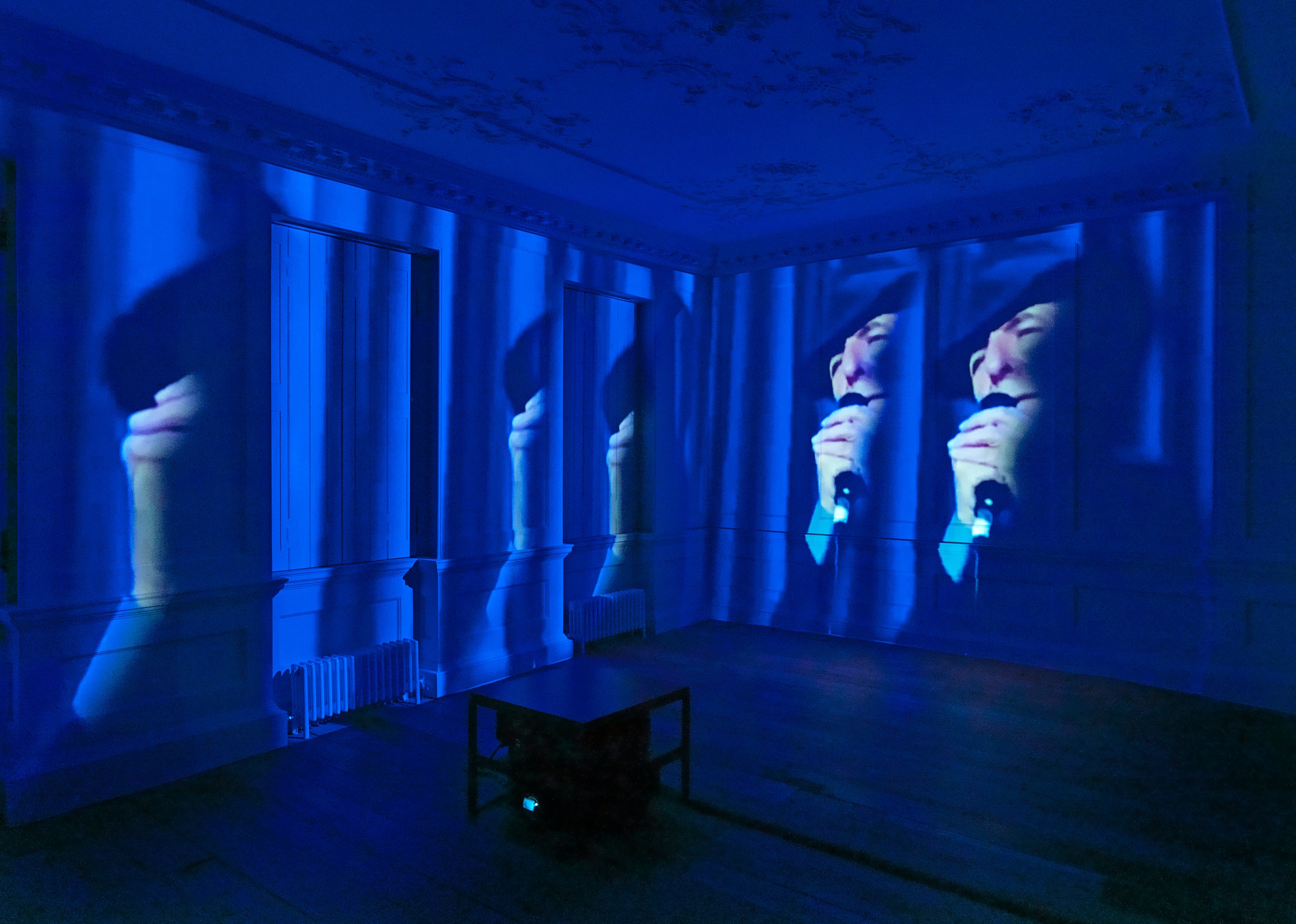 Lutz Bacher, Aye! at Raven Row, photo 35