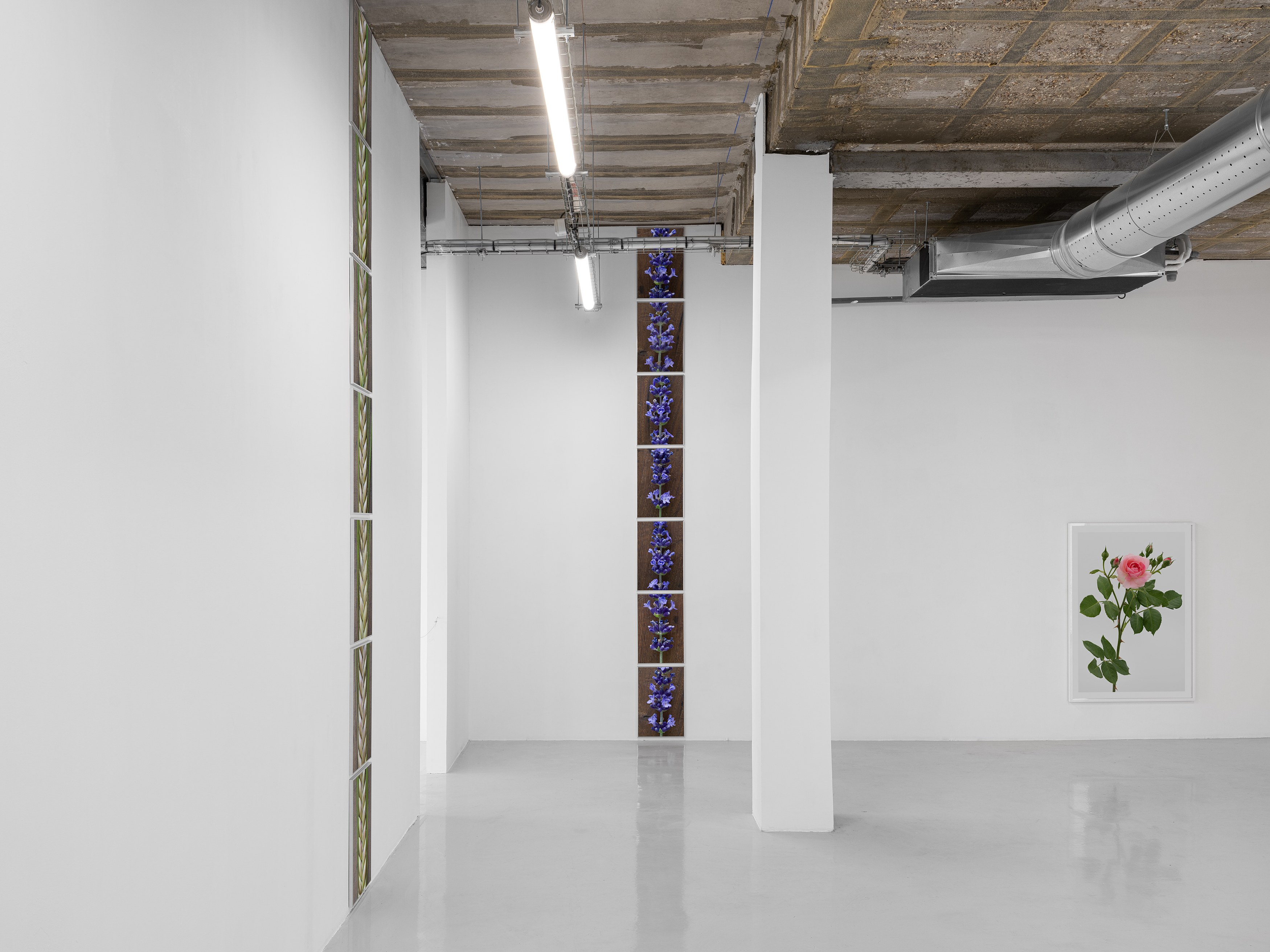 Pierre Joseph, de vivants piliers at Air de Paris, photo 4