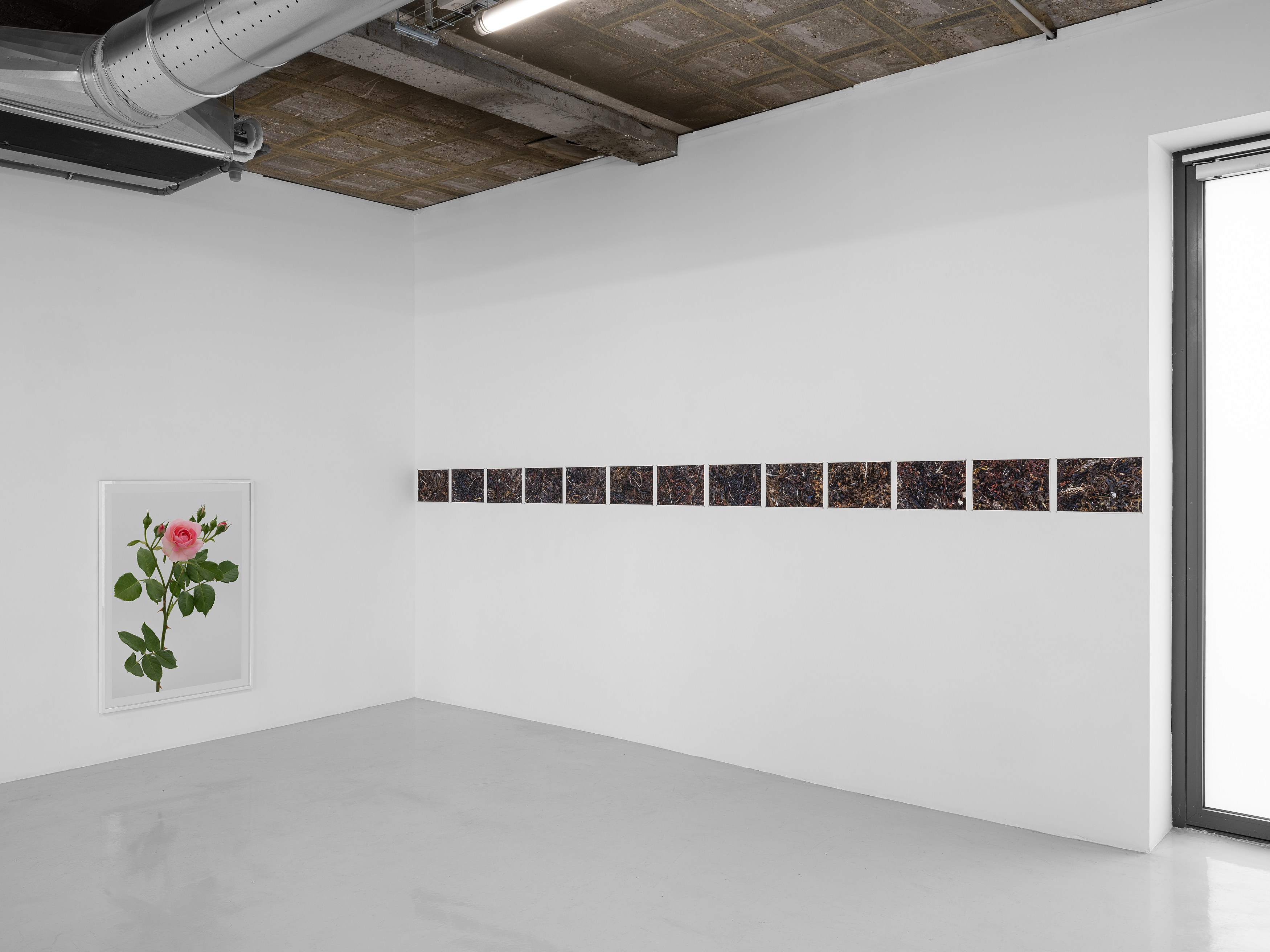 Pierre Joseph, de vivants piliers at Air de Paris, photo 5