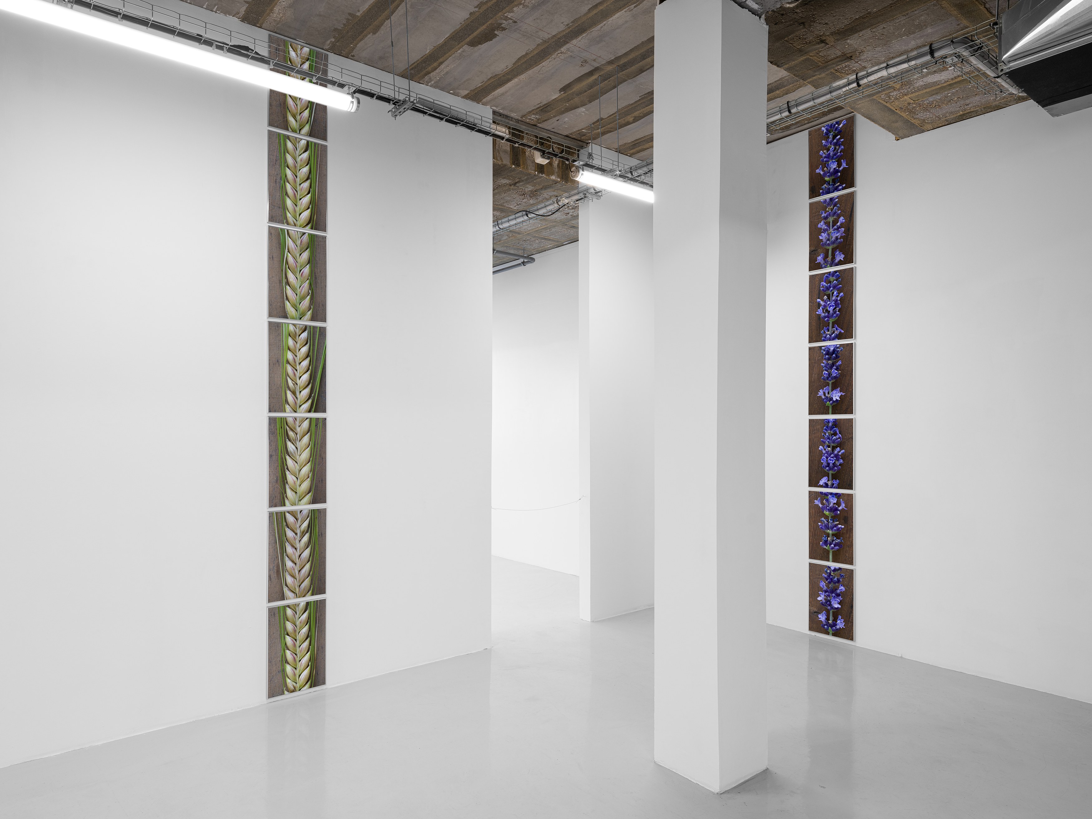 Pierre Joseph, de vivants piliers at Air de Paris, photo 6