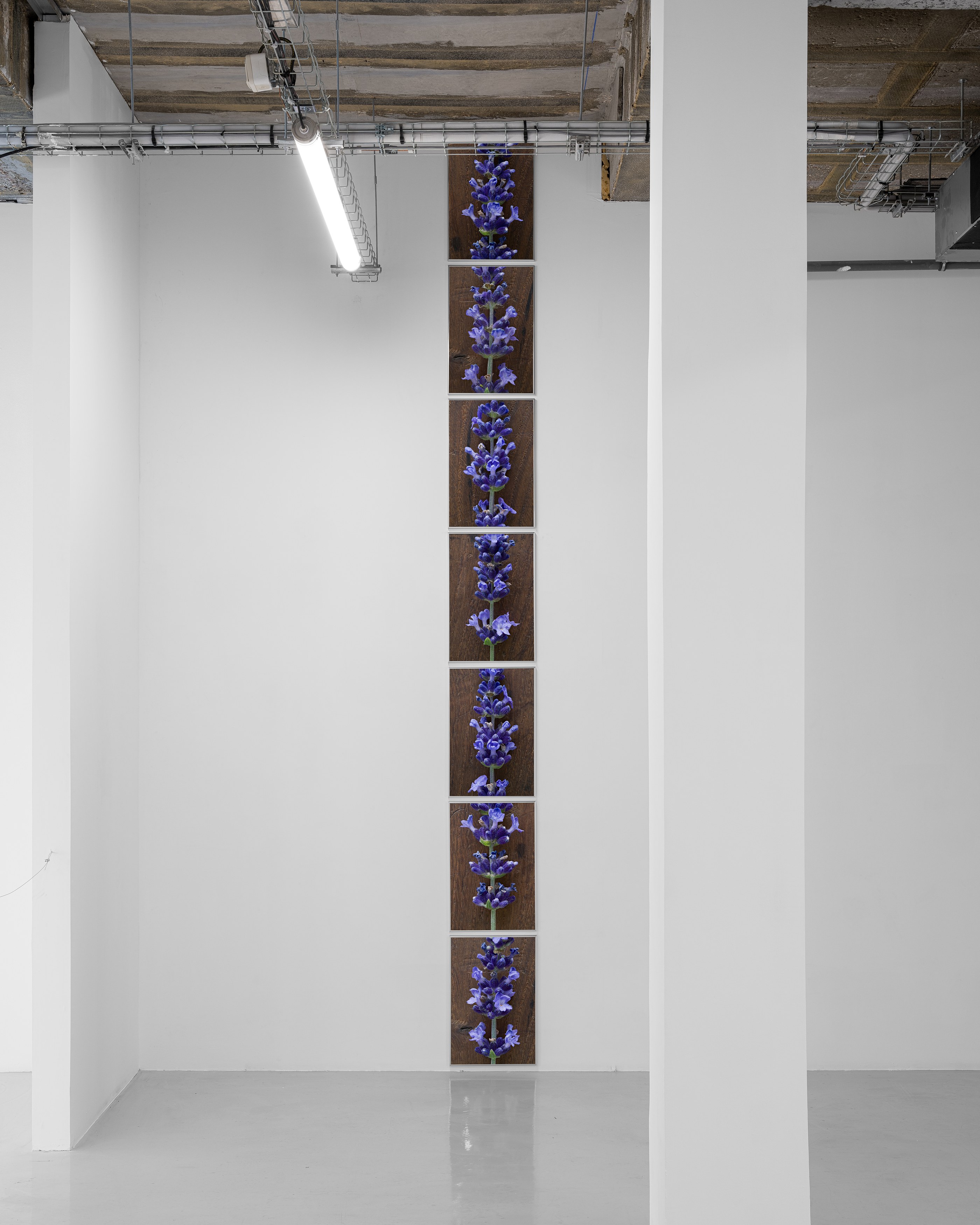 Pierre Joseph, de vivants piliers at Air de Paris, photo 9