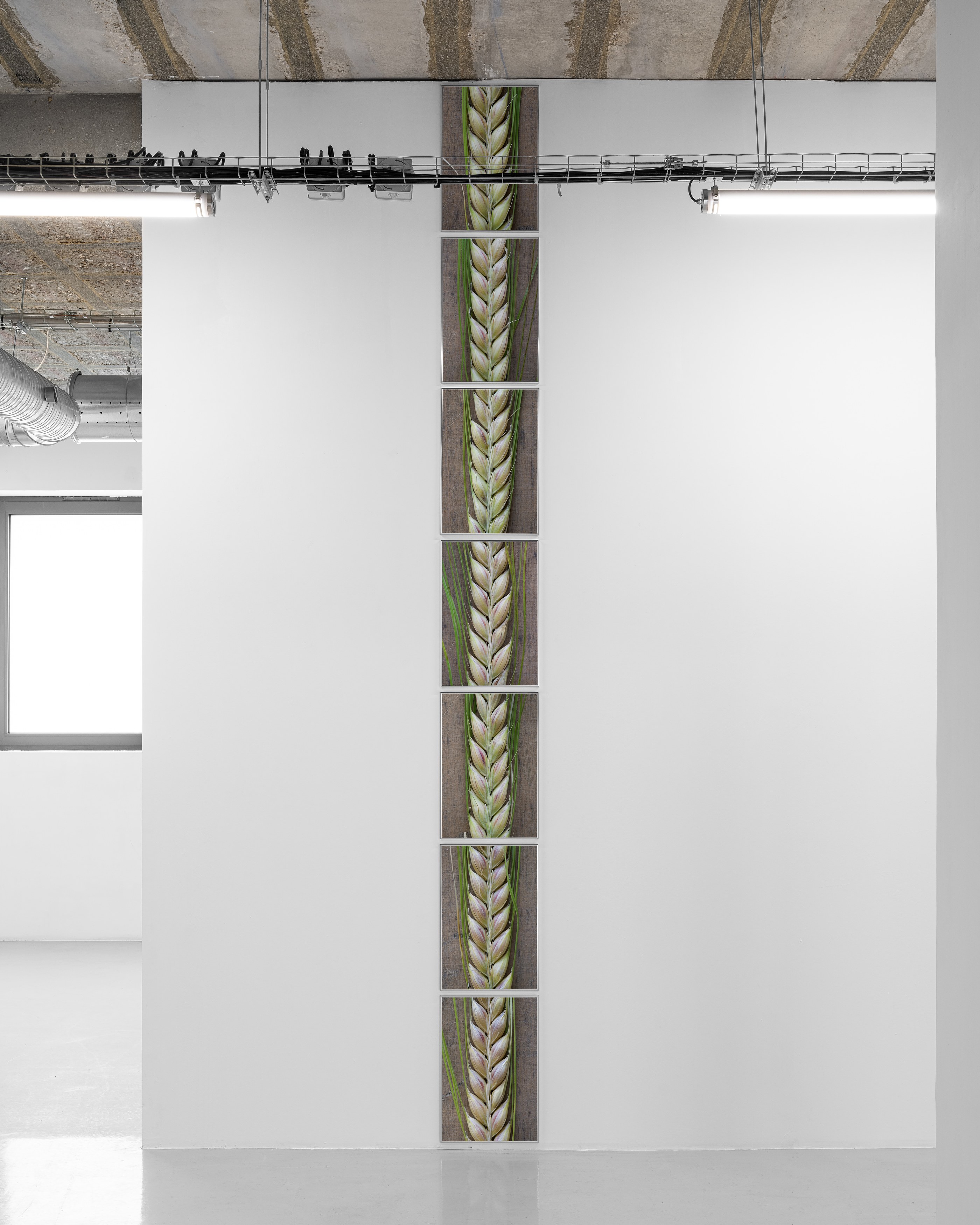 Pierre Joseph, de vivants piliers at Air de Paris, photo 12